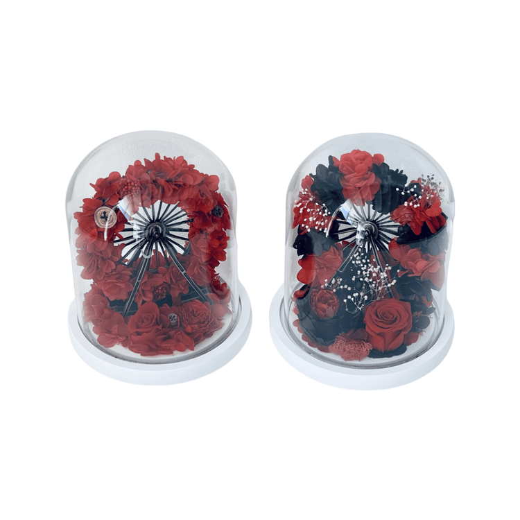 My Ferris Wheel RB Dome with LED.