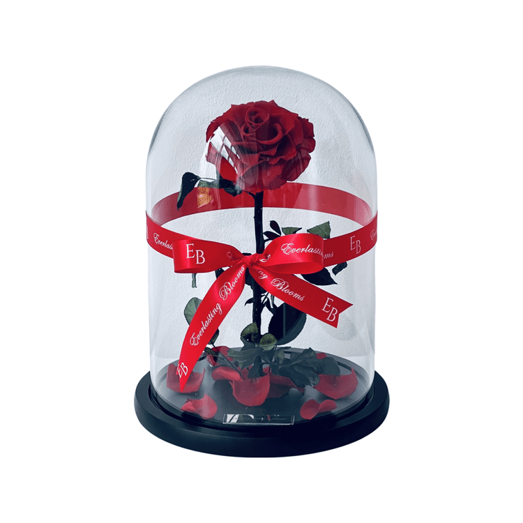 The Everlasting Rose - Red.