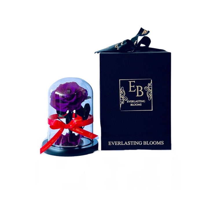 The Mini Everlasting Rose - Purple Queen.