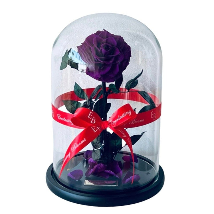 The Everlasting Rose - Purple Queen.