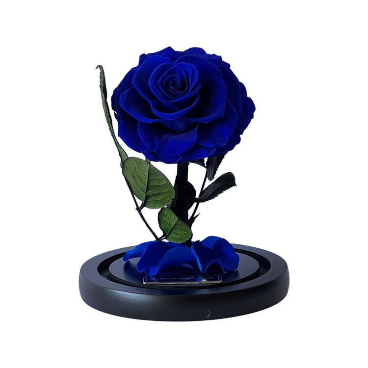 The Mini Everlasting Rose - Royal Blue.