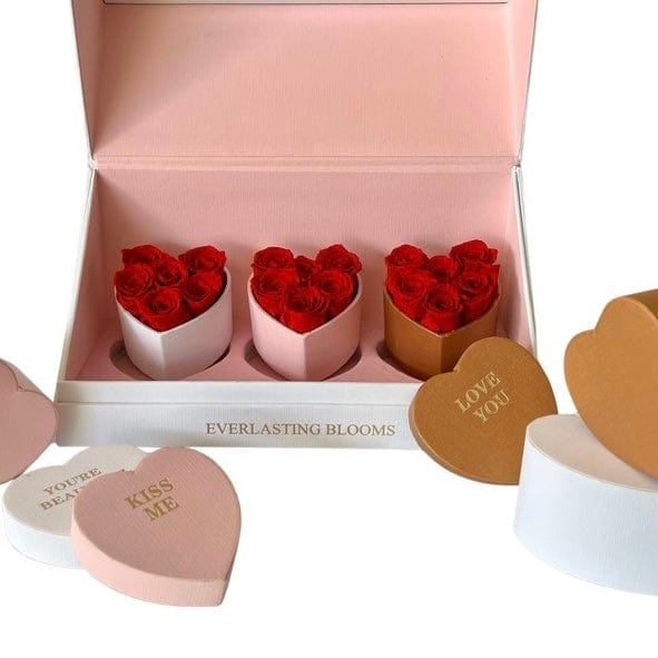 Le Mini Heart Bundle Sets - Red.