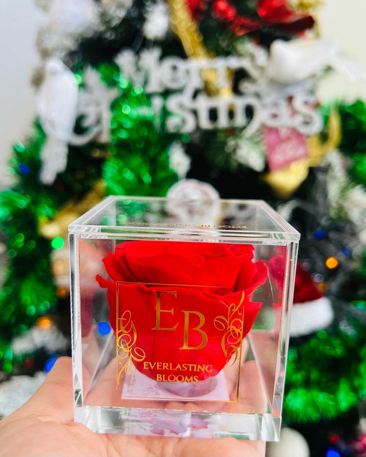 Twelve Days Of Love Notes.