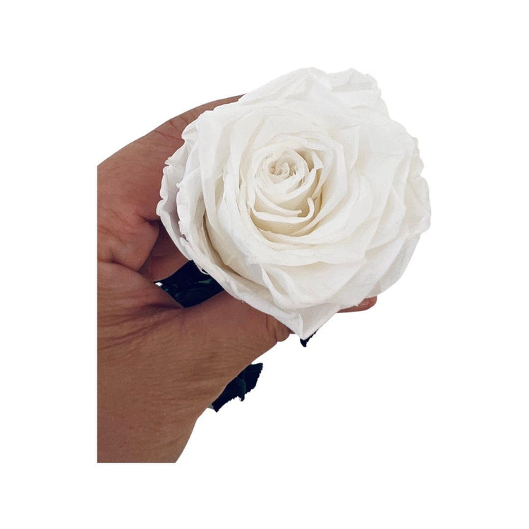 Long Stem rose with white hat box - White.