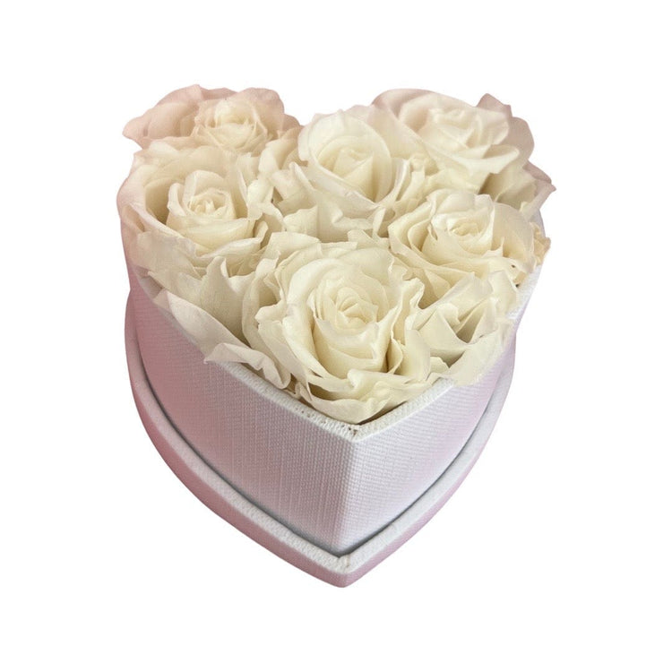 Le Mini Heart Bundle Sets - White.