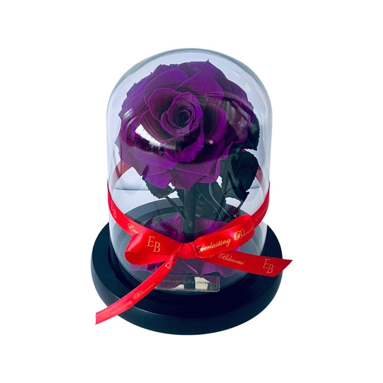 The Mini Everlasting Rose - Purple Queen.