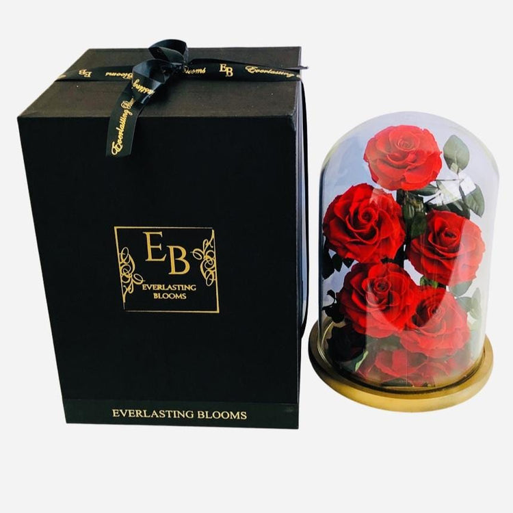 The Everlasting Rose Garden - Red.