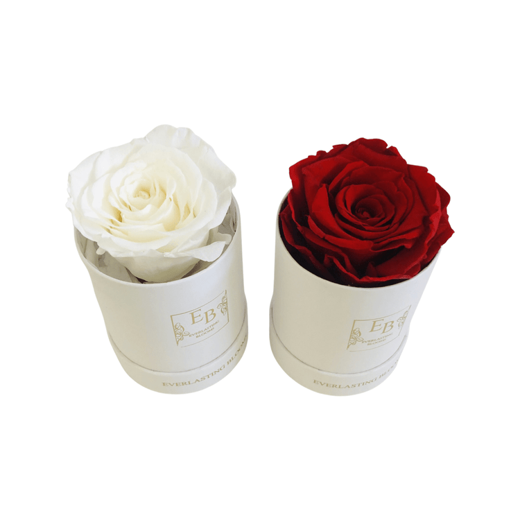 Le Mini Round Rose - red.