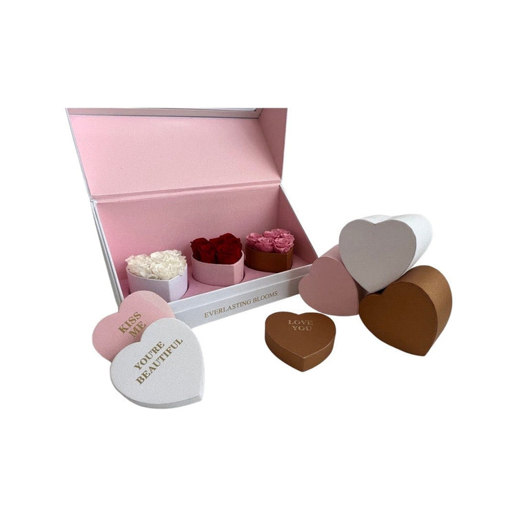Le Mini Heart Bundle Sets - Ombre.