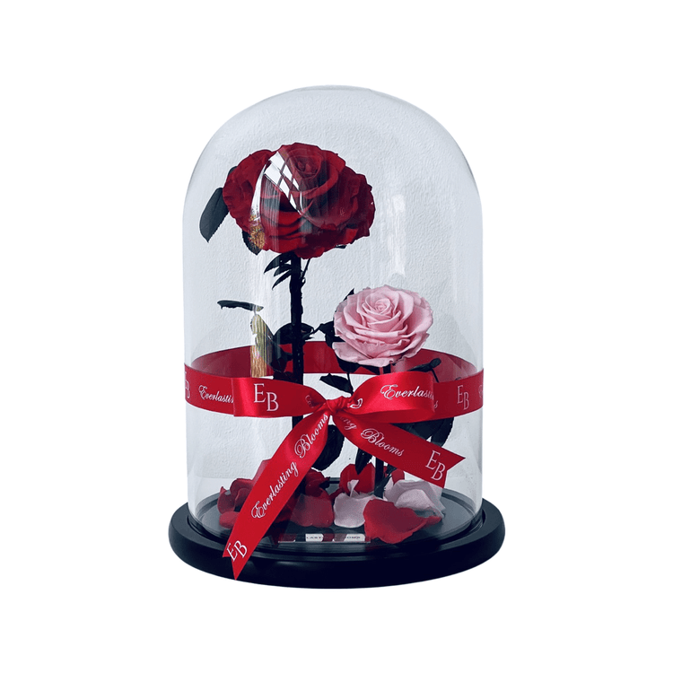 The Everlasting Duo Roses - Red + Pink.