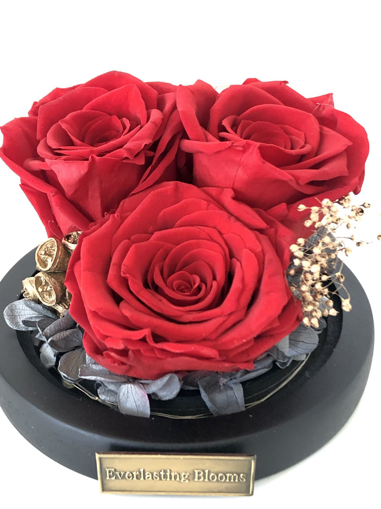 Petit Rose Garden with LED.