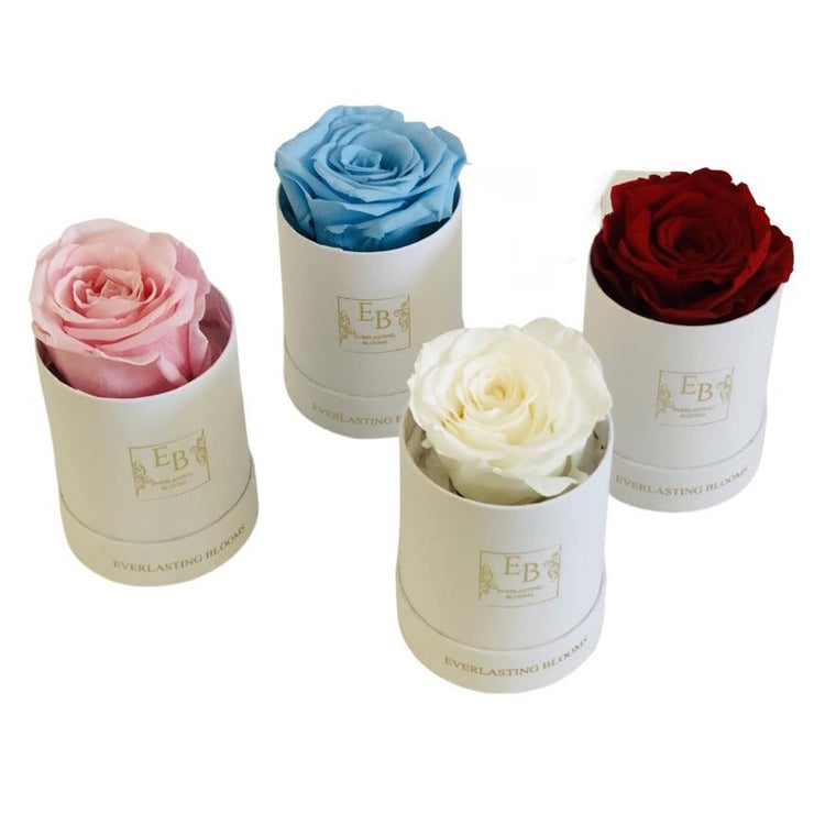 Le Mini Round Rose - red.