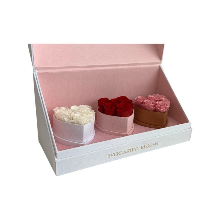 Le Mini Heart Bundle Sets - Ombre.