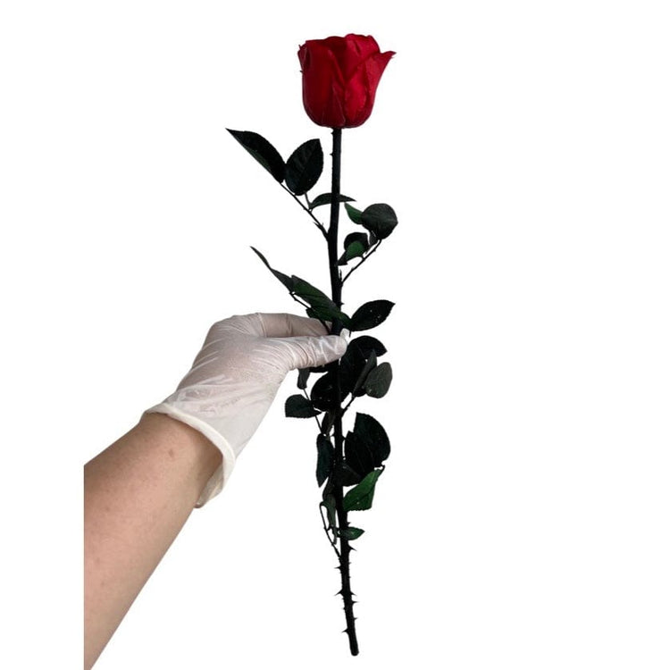 Long Stem rose with white hat box - Red.