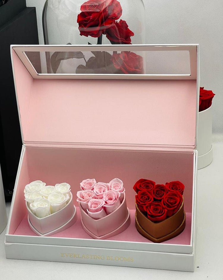 Le Mini Heart Bundle Sets - Ombre.