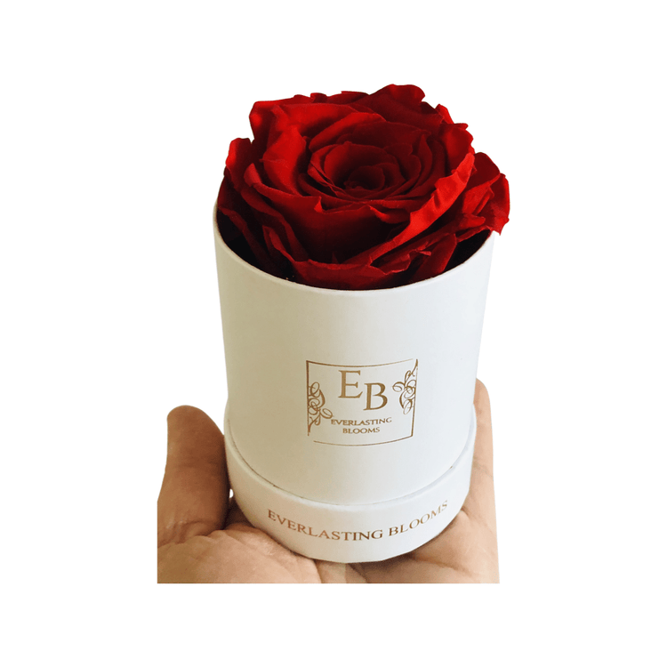 Le Mini Round Rose - red.