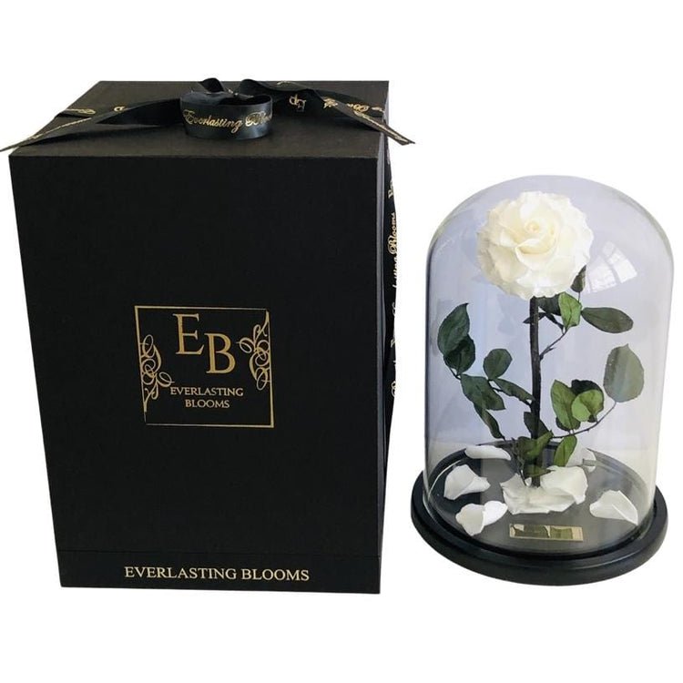 The Everlasting Rose - White.