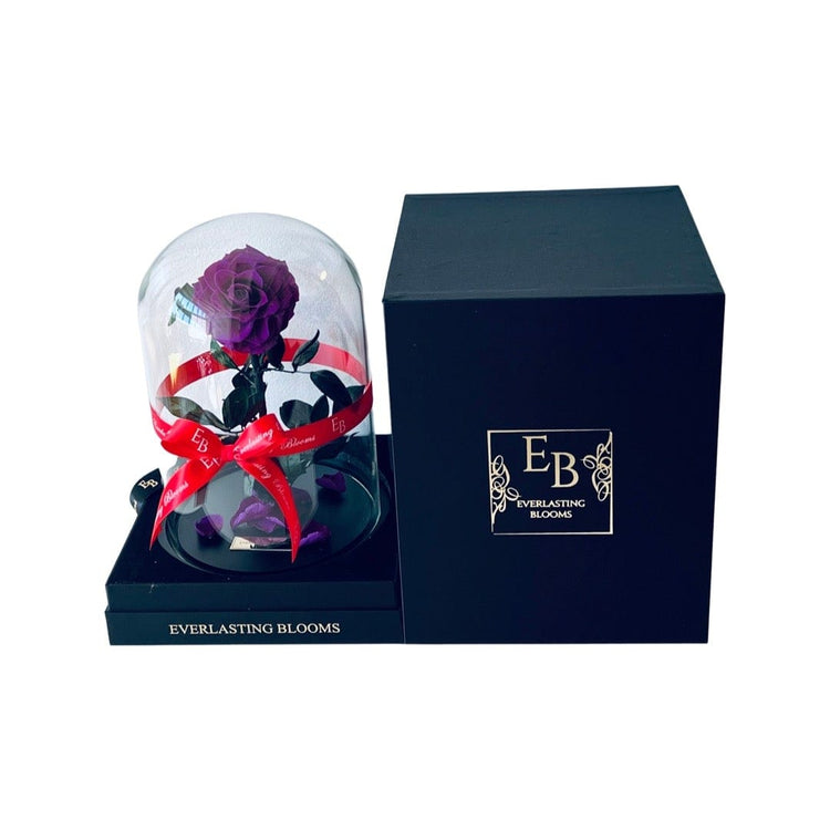 The Everlasting Rose - Purple Queen.