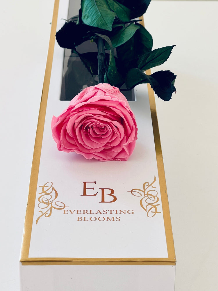 Long Stem rose with white hat box - Sakura Pink.