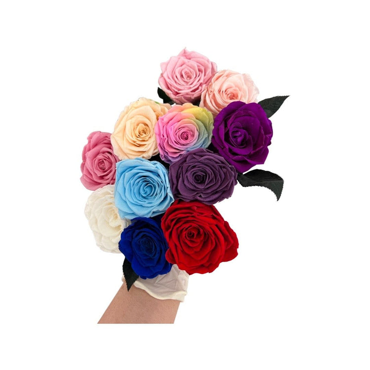 Long Stem rose with white hat box - Purple Queen.