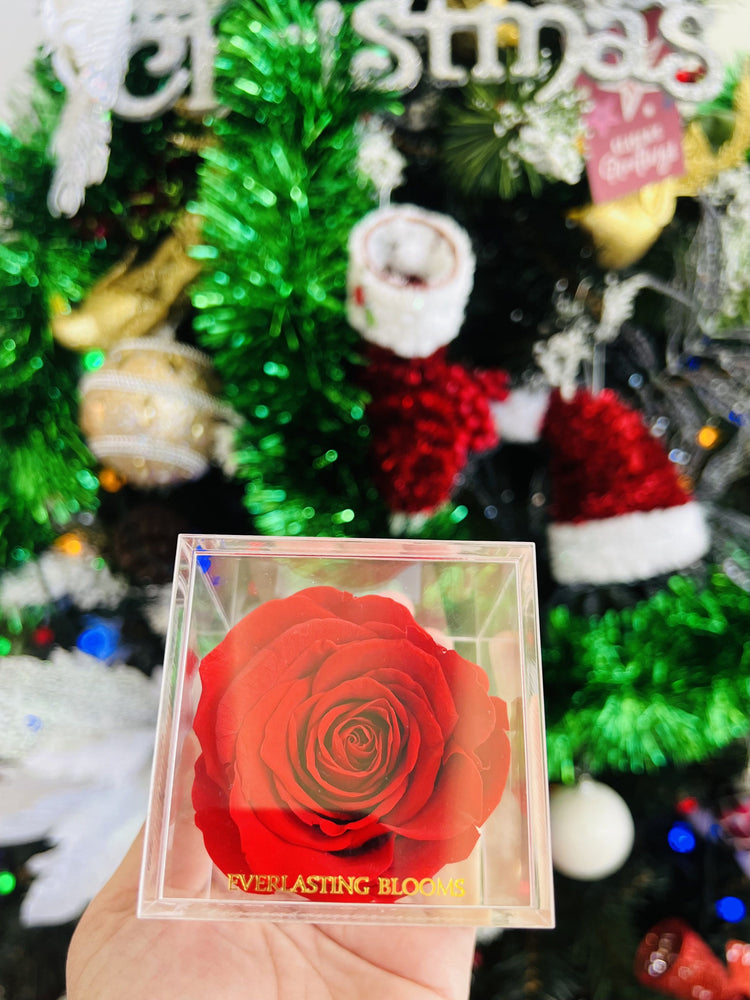 Twelve Days Of Love Notes.