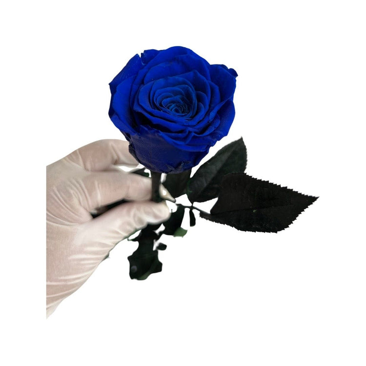 Long Stem rose with white hat box - Royal Blue.