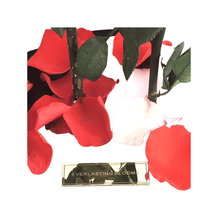The Everlasting Duo Roses - Red + Pink.