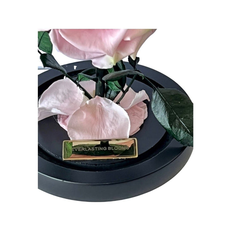 The Mini Everlasting Rose - Sakura Pink.