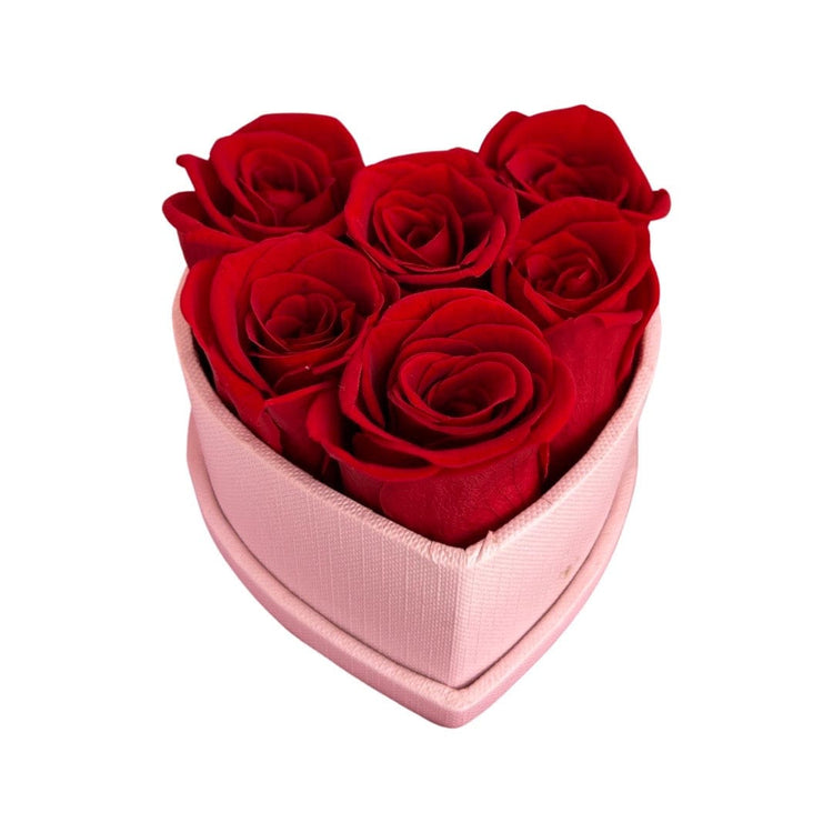 Le Mini Heart Bundle Sets - Ombre.