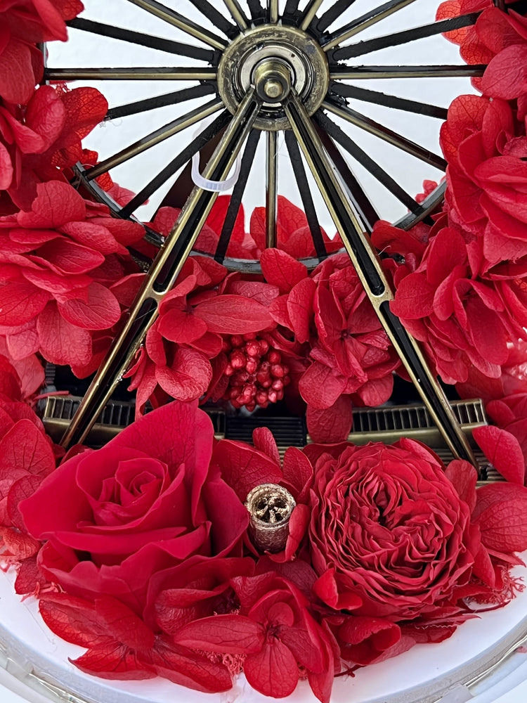My Ferris Wheel Dome with LED.