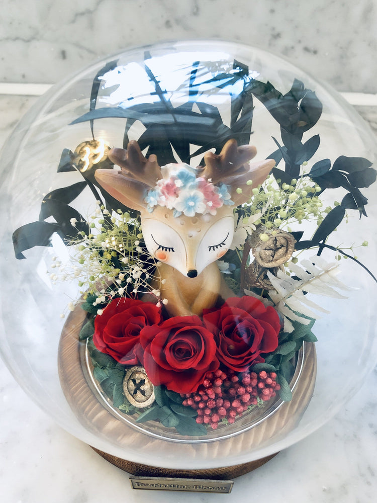 Princess Daisies Rose Dome LED.