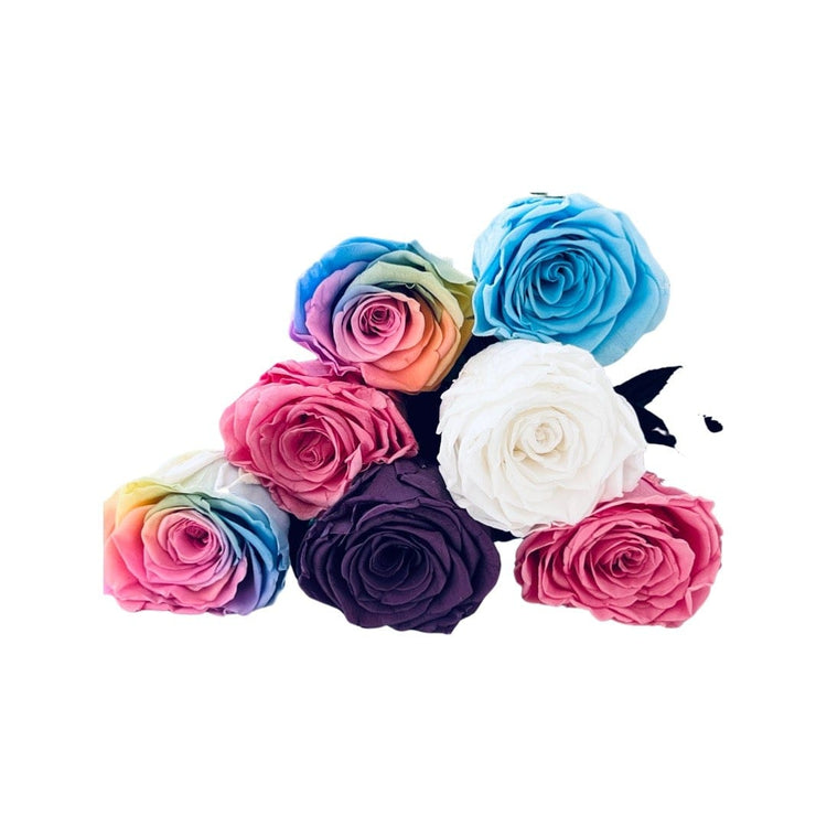 Long Stem rose with white hat box - Rainbow.