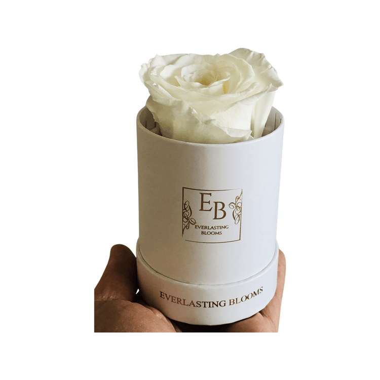 Le Mini Round Rose - White.