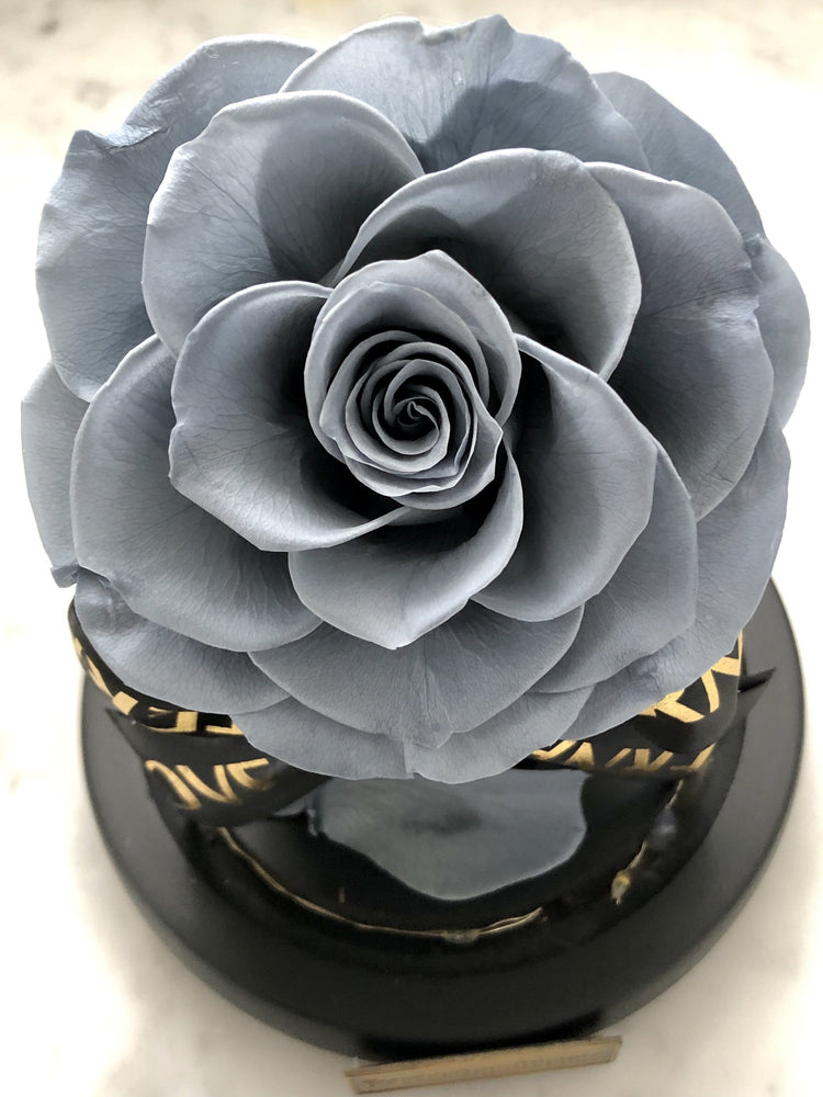 Lady Margaret Rose Dome LED.