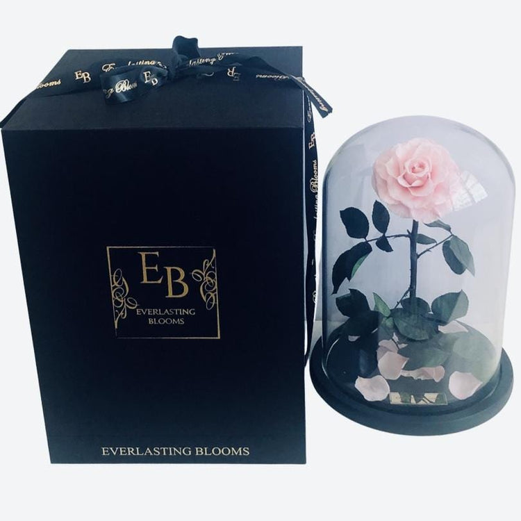 The Everlasting Rose - Sakura Pink.