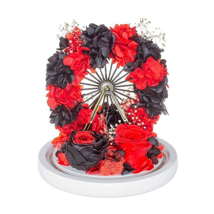 My Ferris Wheel RB Dome with LED.