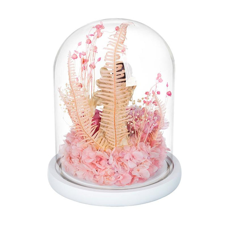 The Guardian Angel Rose Dome Peach with LED.