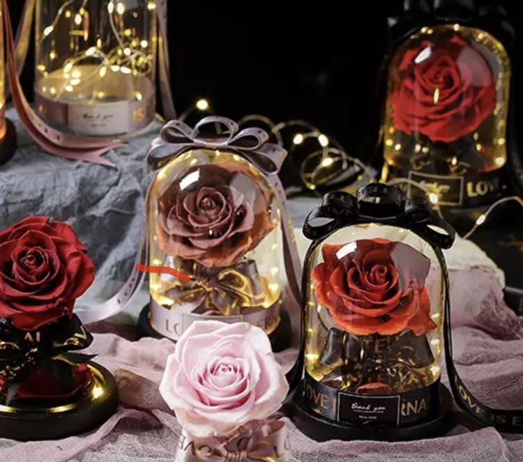 Lady Margaret Rose Dome LED.