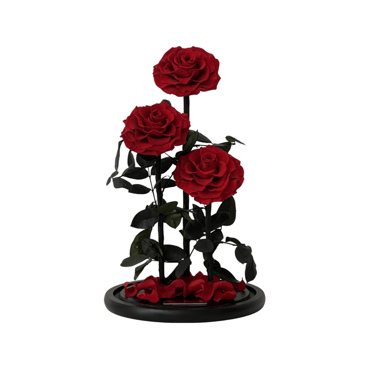 The Everlasting Trio - Red.