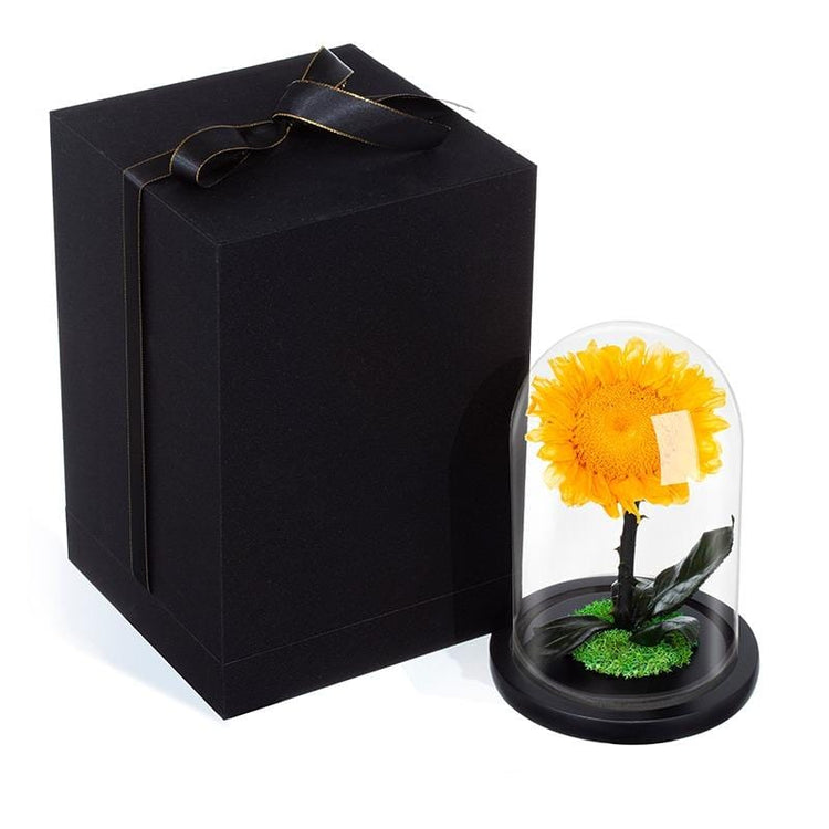 Sunflower Rose Dome with LED.