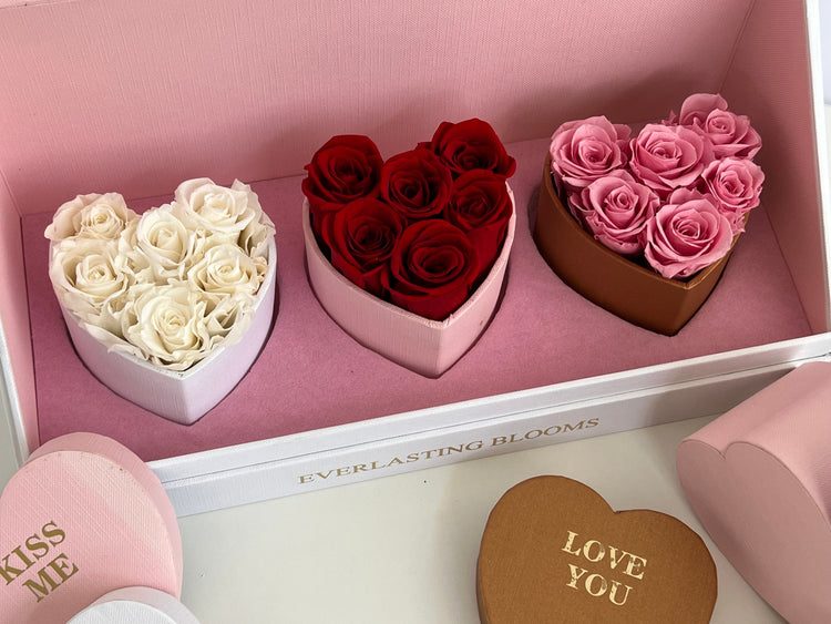 Le Mini Heart Bundle Sets - Ombre.