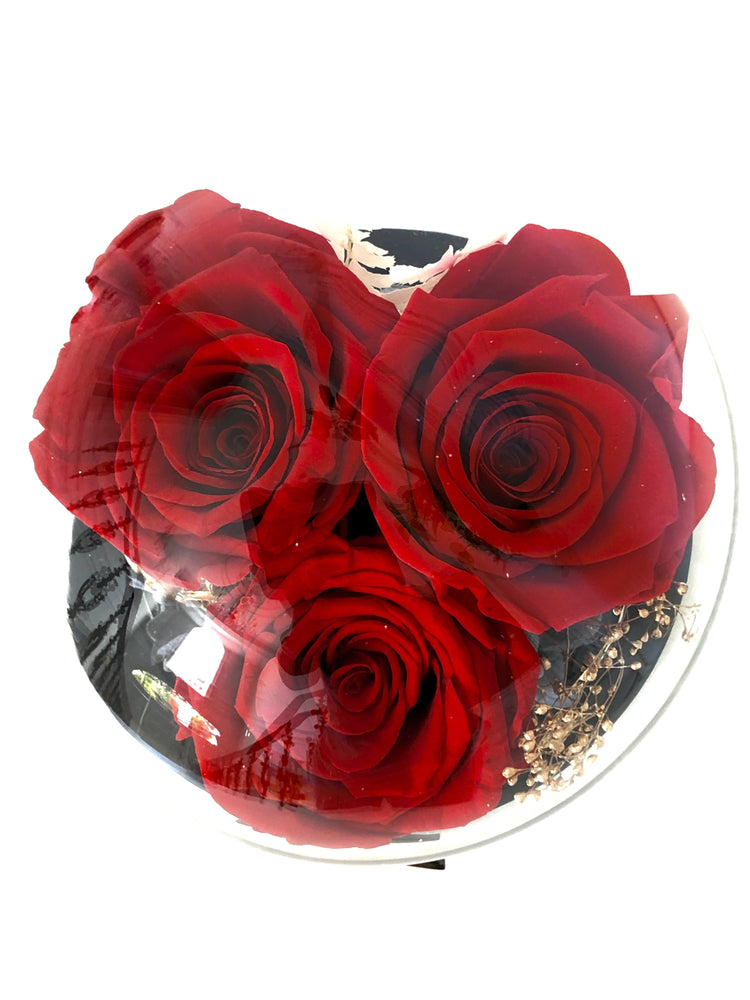 Petit Rose Garden with LED.