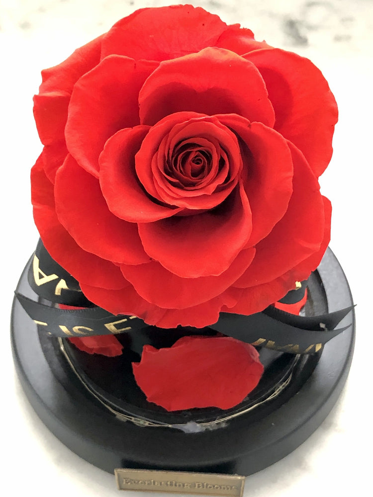 Lady Margaret Rose Dome LED.