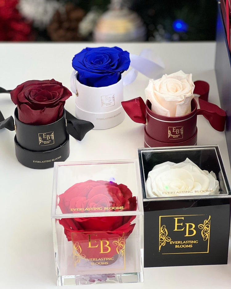 Twelve Days Of Love Notes.