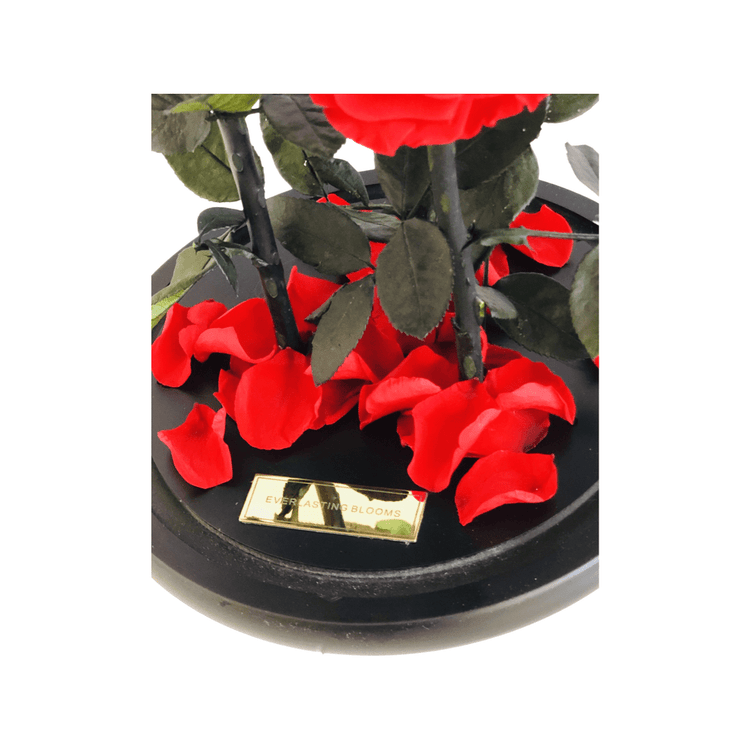 The Everlasting Trio - Red.