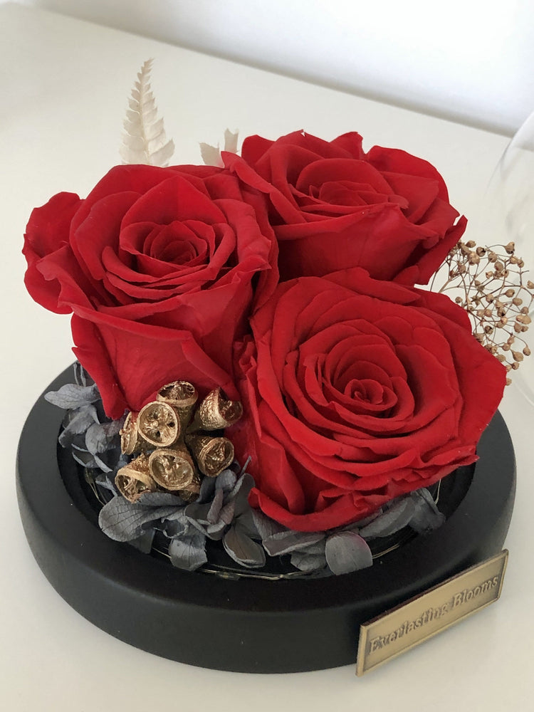 Petit Rose Garden with LED.