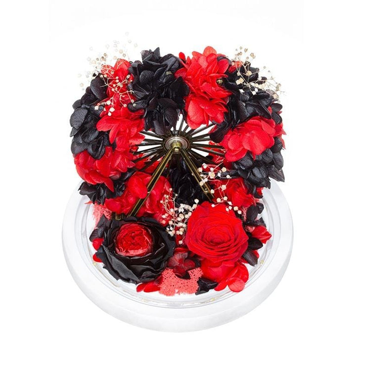 My Ferris Wheel RB Dome with LED.