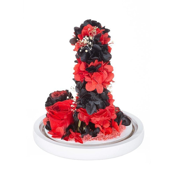 My Ferris Wheel RB Dome with LED.