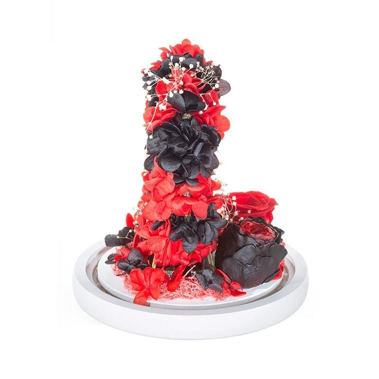 My Ferris Wheel RB Dome with LED.