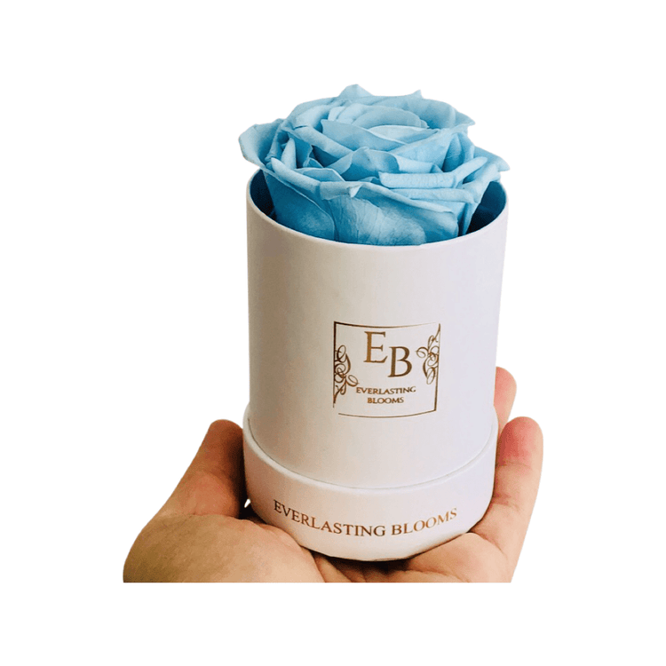 The Classic Bundle Set - Celeste Blue.